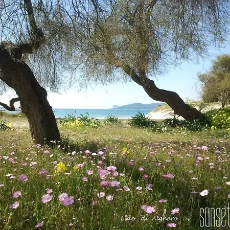 Sunset House Αλγκέρο